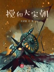 《搅和大宋朝》小说封面