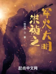 《崇祯之军火大明》小说封面