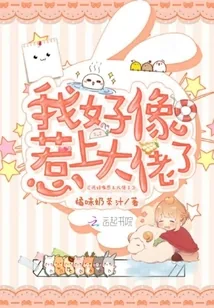 《我好像惹上大佬了》小说封面