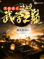 《笑傲诸天：决战武学之巅》小说封面