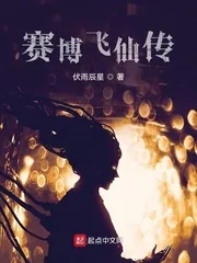 《赛博飞仙传》小说封面