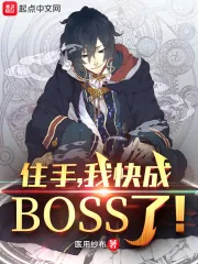 《住手，我快成boss了！》小说封面