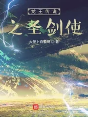 《龙王传说之圣剑使》小说封面