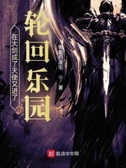 《在大剑成了天使又进了轮回乐园》小说封面