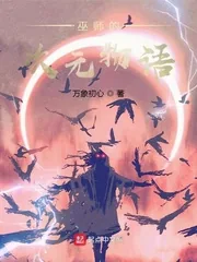 《巫师的次元物语》小说封面