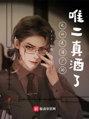《也许是酒厂的唯二真酒了》小说封面