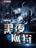 《黑夜巡狩》小说封面